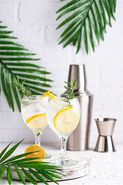 frosted gin and tonic cocktail