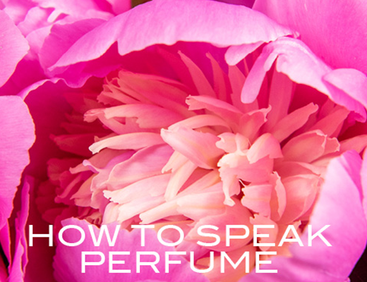 how to speak perfume