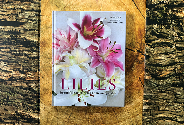 Lilies by Naomi Slade