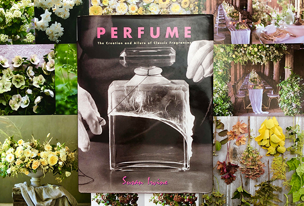 Perfume by Susan Irvine