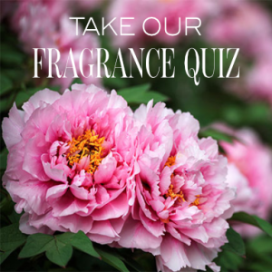 Take our free fragrance quiz on Scent Lodge Edit