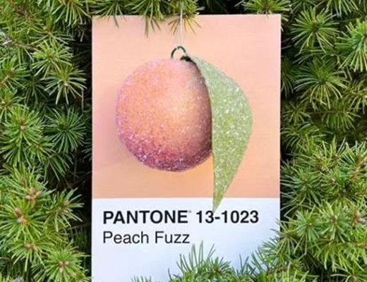 Pantone Colour of the Year 2024: Peach Fuzz